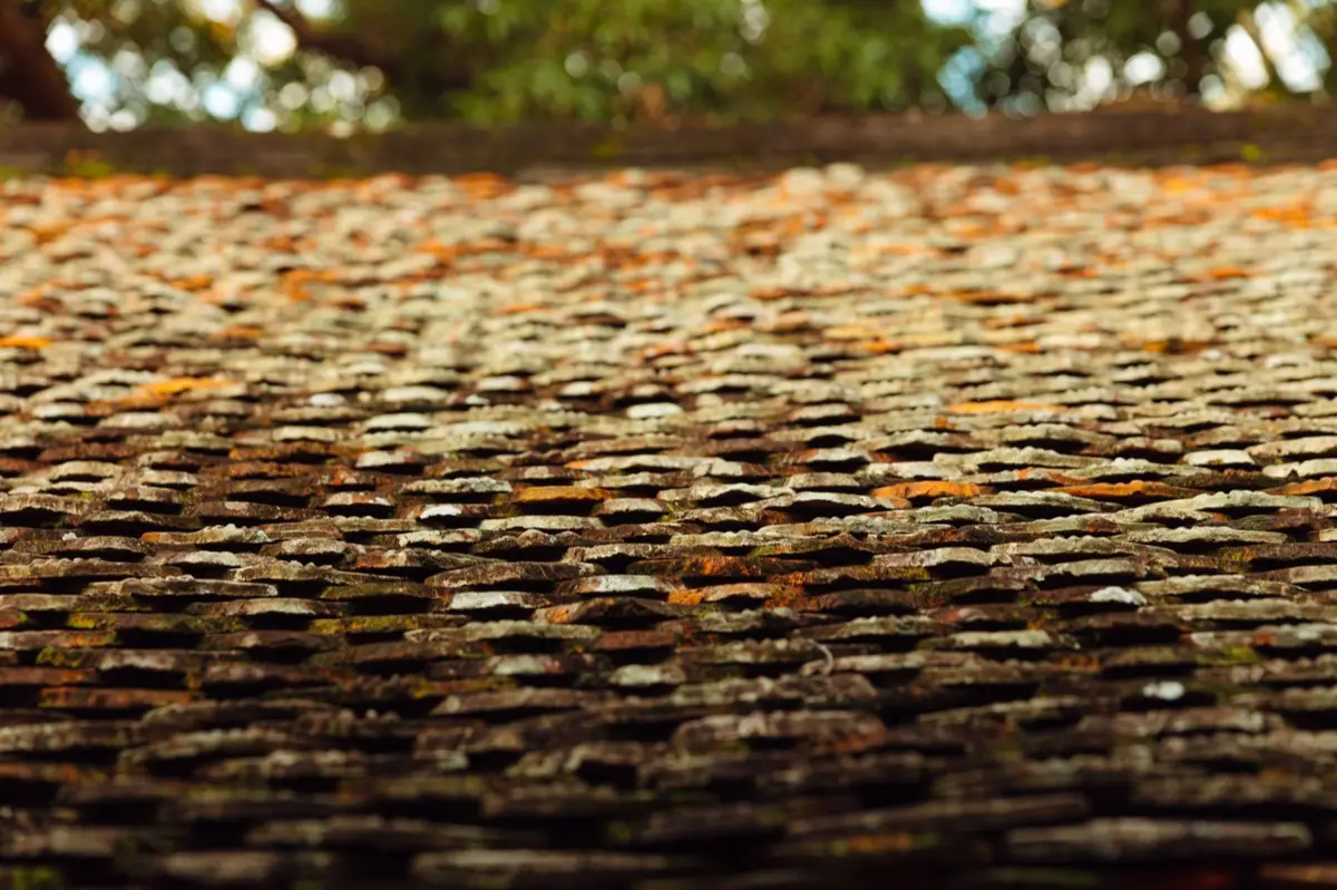 Aging shingle roof with moss growth and granule loss in Midland, TX